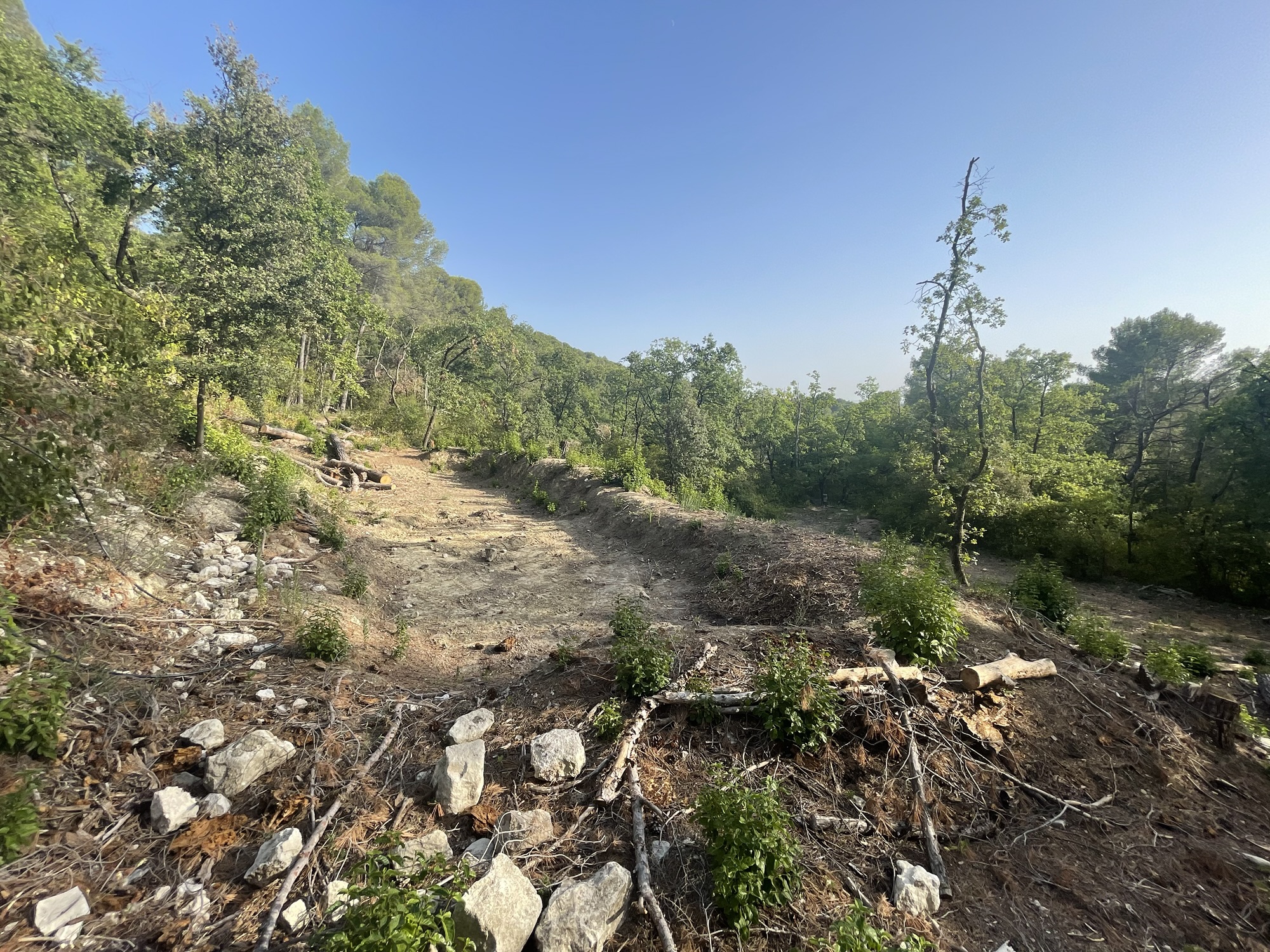 Bassin de tête avant travaux