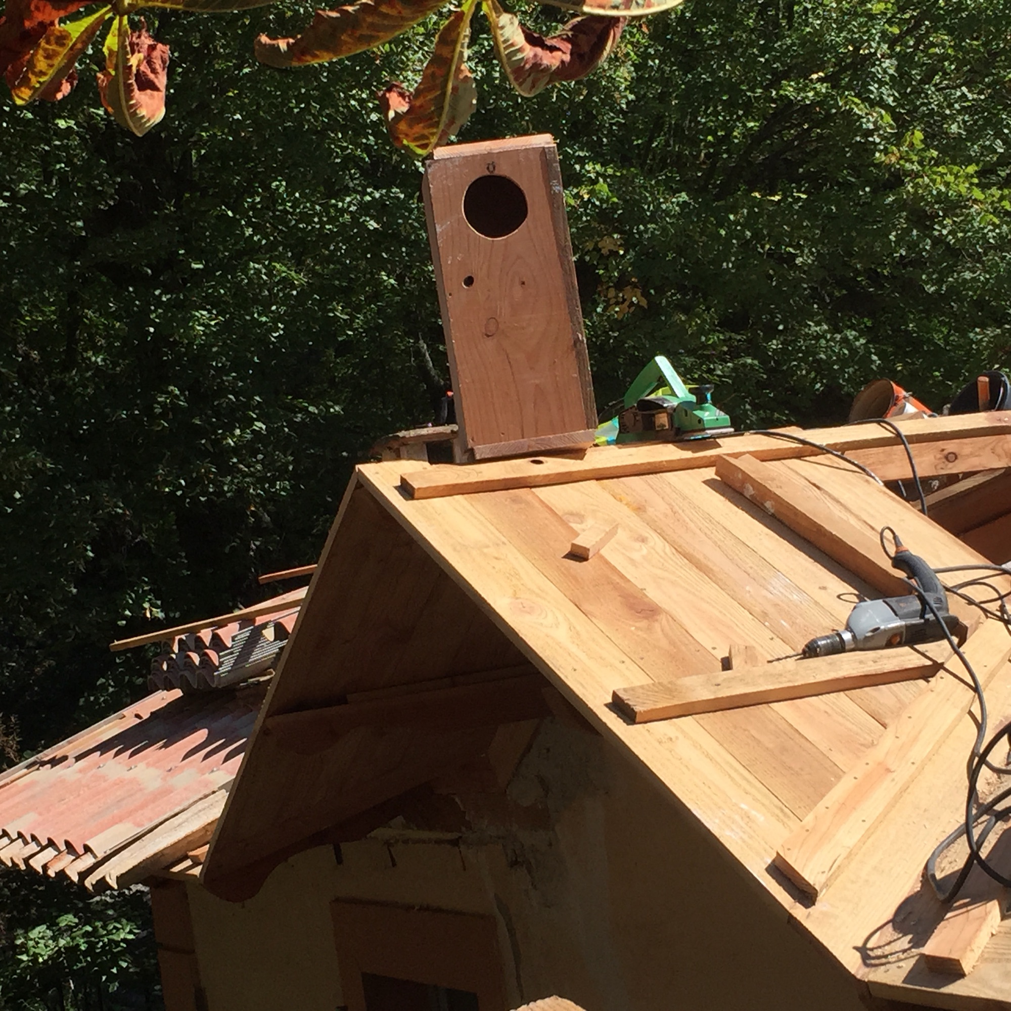 Nichoir pour chouette intégré au toit de la maison