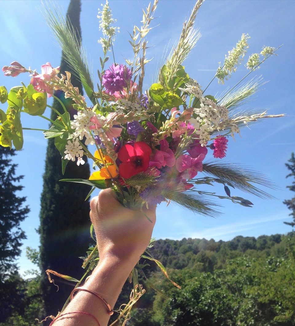 Bouquet de fleurs des champs du domaine