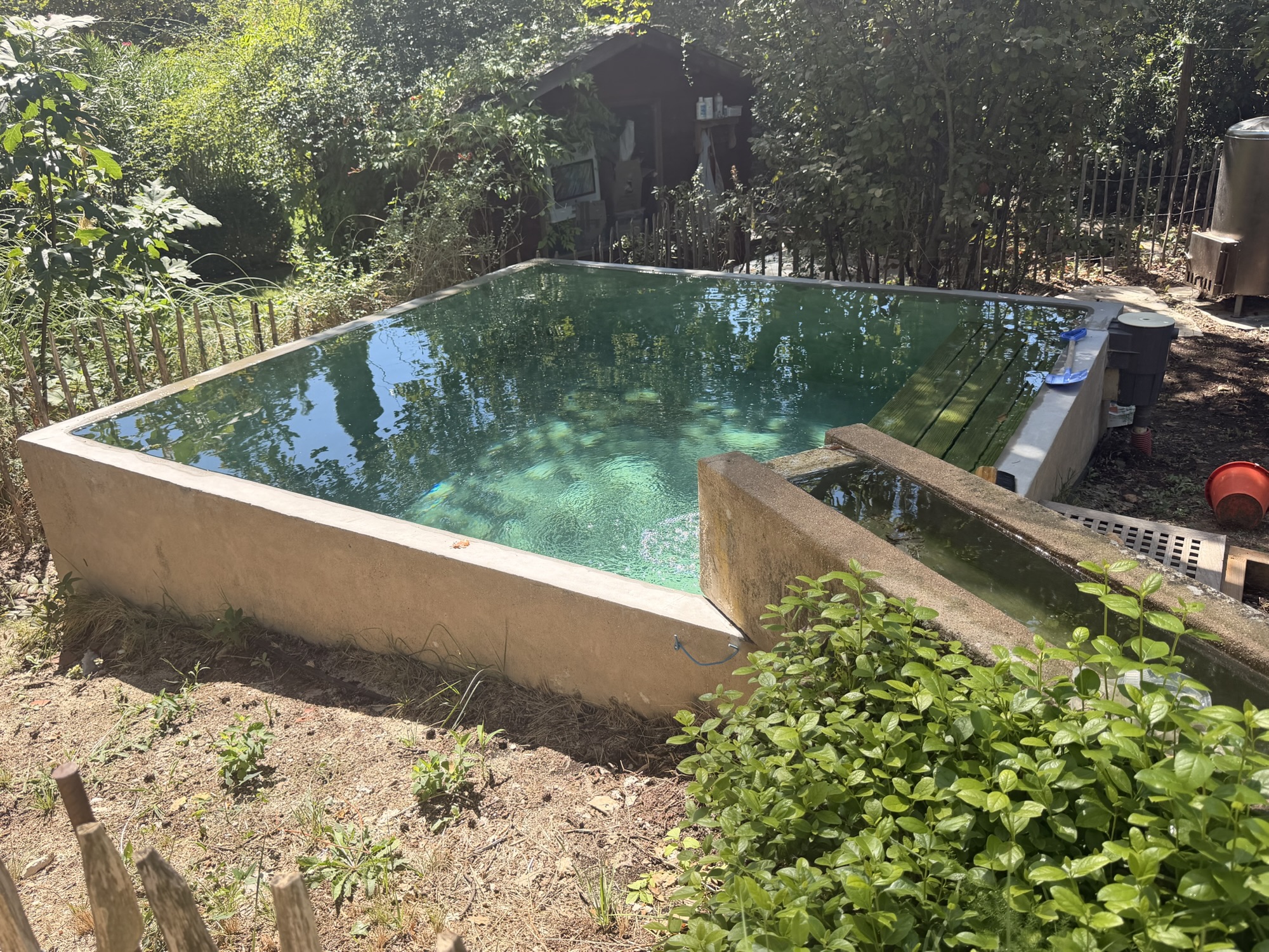 Bassin domestique de la maison