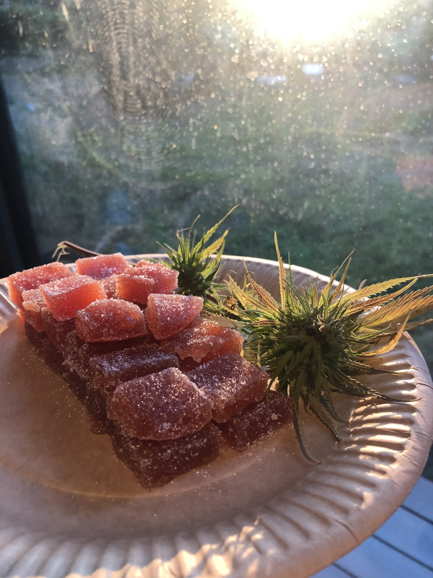 Pâte de coings maison